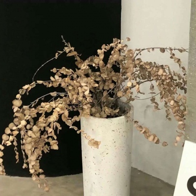 Furry绘画创意灵感FurryQQ群